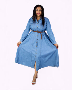 Denim Button Down Dress