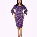 Purple Stoned Dress with Mesh Sleeve