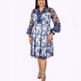 White and Blue Lace Dress
