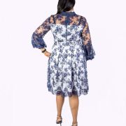 White and Blue Lace Dress