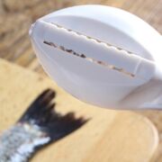 Descaling Fish Tool
