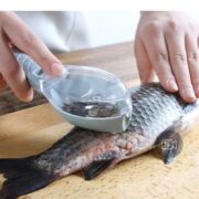 Descaling Fish Tool